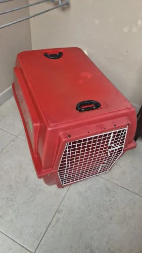 Caixa de Transporte Porte Grande /Casinha