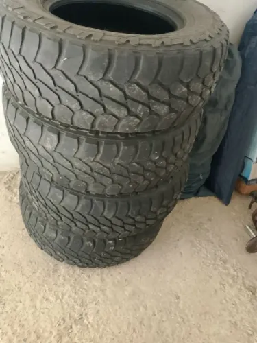 Venda
