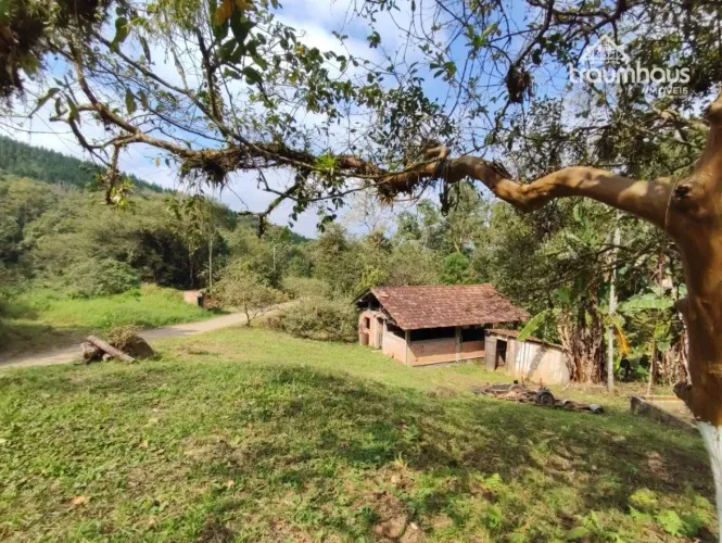 Sítio à venda, 155.650,00 m² por R$ 750.000 - Baixo Maximo - Luiz Alves/SC