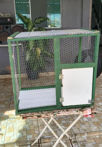 Viveiro médio