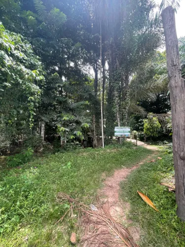 VENDE-SE TERRENO COM CASA e IGARAPÉ 34X50