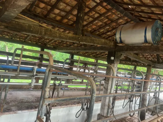 Ordenhadeira delaval 6 conjuntos