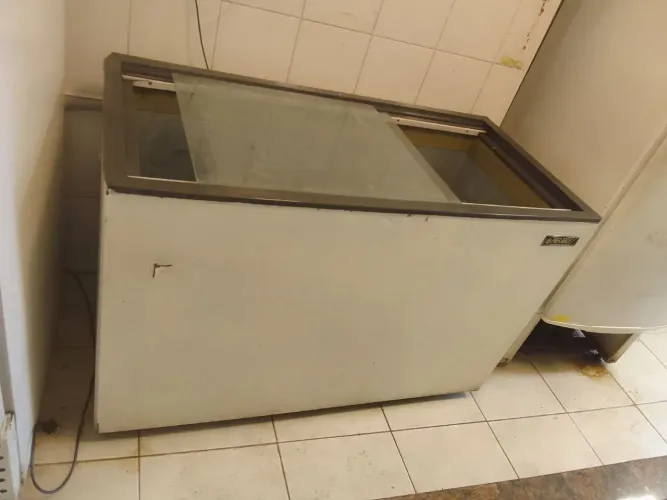 Freezer horizontal