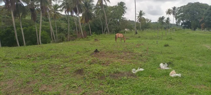 Terreno para chácara em área rural de Abreu e Lima 