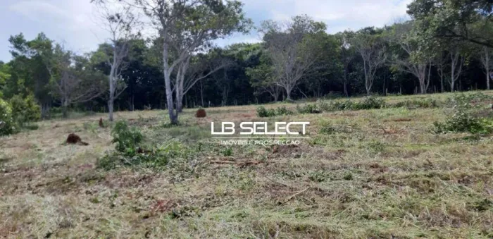 Chácara há 7 km de Uberlândia com 30 mil metros.