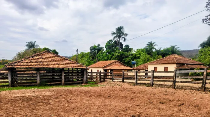 Fazenda 180 Alqueires - Dupla Aptidão!