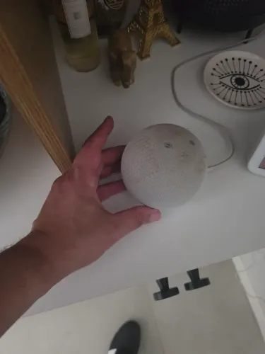 Echo dot