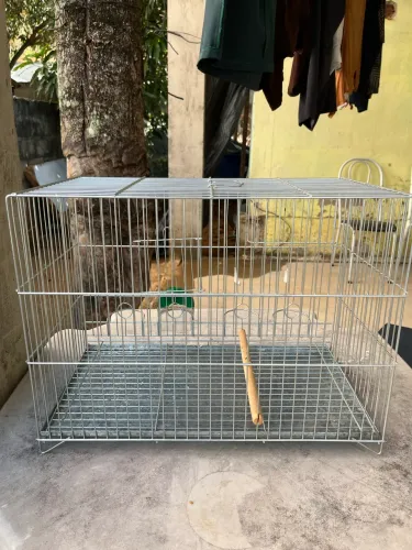 Gaiola para Canário Nova com Garantia de 1 mês