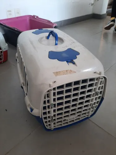 Caixa de Transporte pet tam p