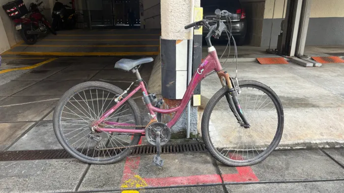 Bike Caloi Ceci Aro 26