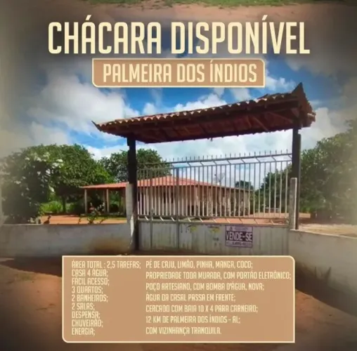 Chácara com casa 3 quartos e 2,5 tarefas | 12 km de Palmeira dos Índios