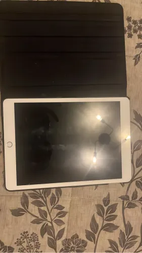 iPad 