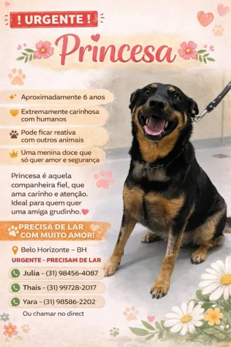URGENTE - ADOÇÃO RESPONSÁVEL