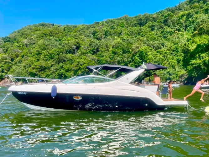 PHANTOM 290