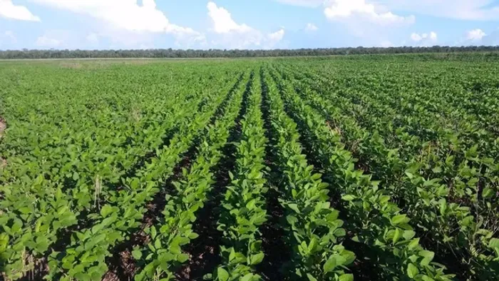 Fazenda de 7.982 hectares em Paranatinga-MT