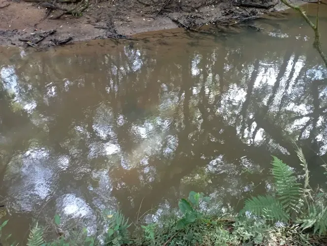 Chácara em agudos do Sul 