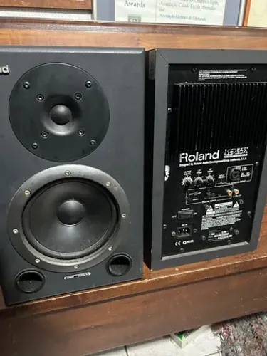 Caixas Roland Monitores DS-90A