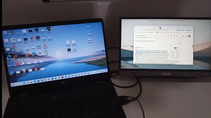 ASUS ZenScreen 14" (Tela Extra)