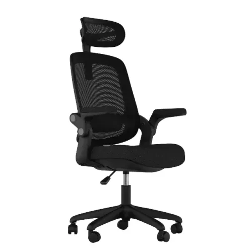 Cadeira de Escritório Ergonômica Elements Astra Mesh Preto 