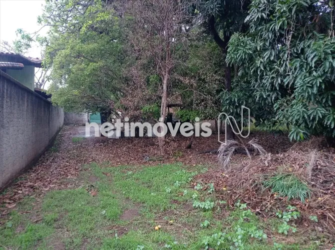 Venda Lote-Área-Terreno Visconde do Rio Branco Belo Horizonte