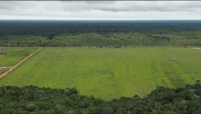 Fazenda a venda na Beira da BR 319 sentido Humaitá 