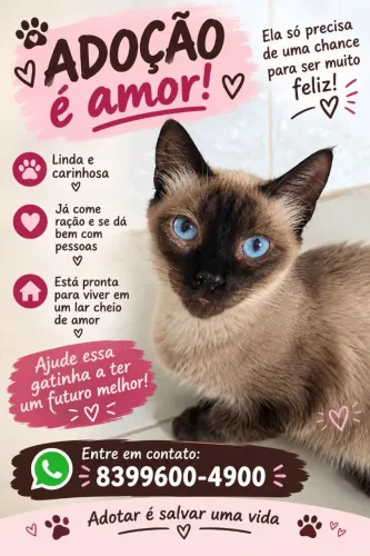 Adoção responsável