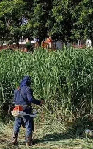 Jardinagem, roçada de terrenos e roçadas de pasto