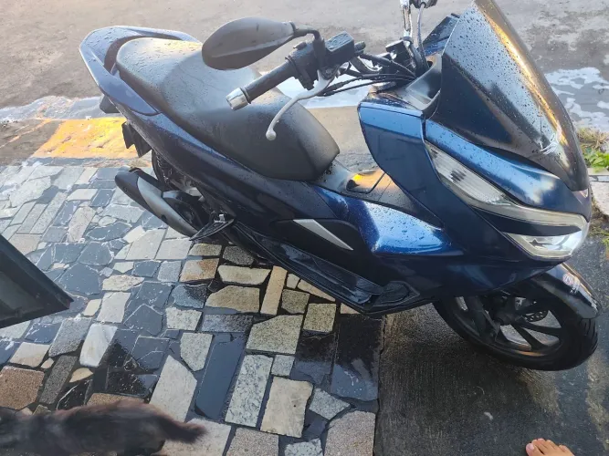 Moto PCX 2019 