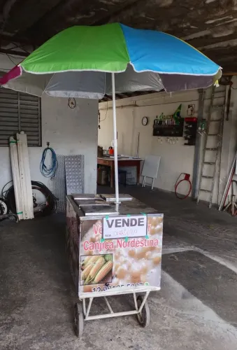 Vende se carrinho ( incluí guarda sol)