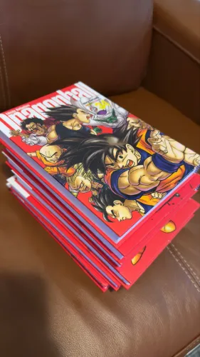 DRAGON BALL EDIÇÃO DEFINITIVA - ZAGA BOO
