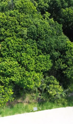 Terreno em Condomínio para Venda em Mata de São João, Praia do Forte