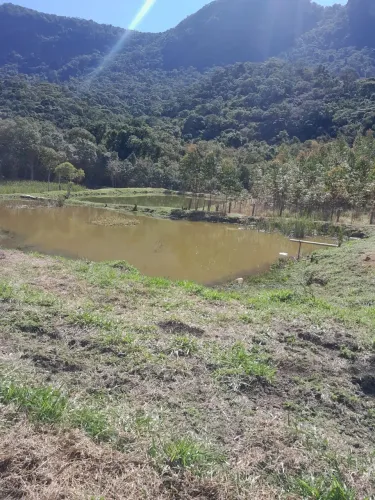 sitio 4 alqueires com muita água em Joanópolis SP