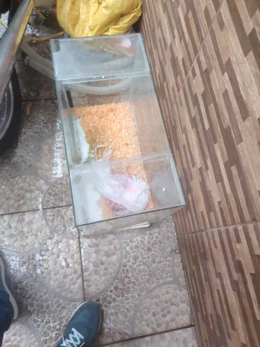 Aquário 80 litros
