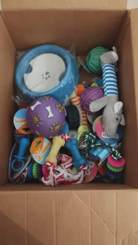 Lote de Produtos Pet Shop Novos - Fechamento de Loja
