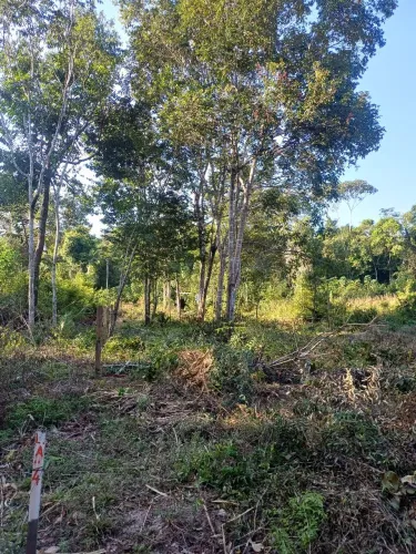 Terreno barato
