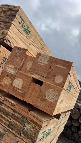 Tábuas de pinus 30cm 29$ a peça