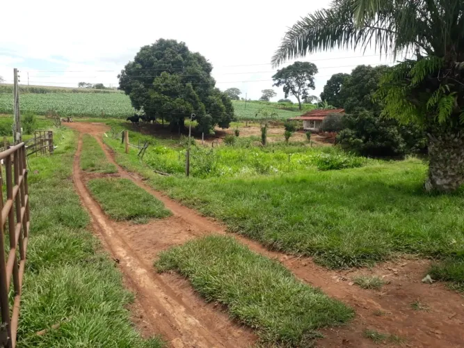 Chácara 1 Alqueire em Caturai-Go - Casa, Represa, Terra de Cultura e Fácil Acesso!