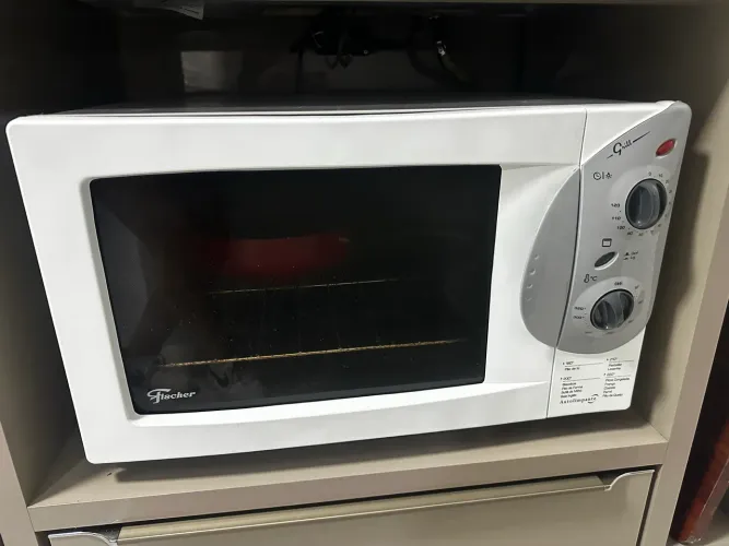 Forno Fisher 44 litros