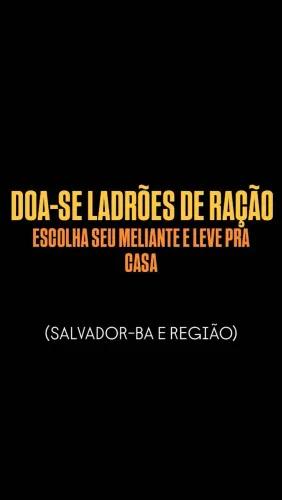 DOA-SE FILHOTES DE GATO