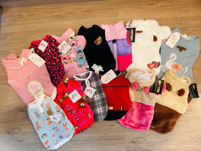 Lote de roupas pet tamanho P