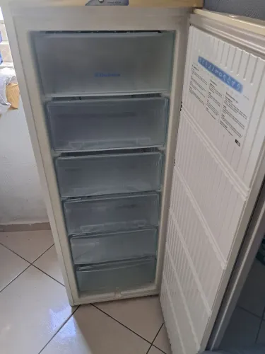 Frezzer electrolux  f210
