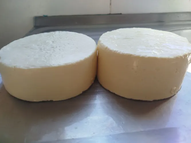 Queijo minas fresco 27,00 kG atacado 