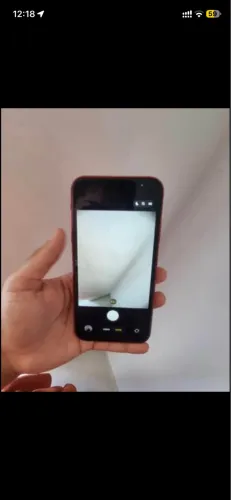 iPhone 11 Vermelho 128GB - Na Caixa Completo