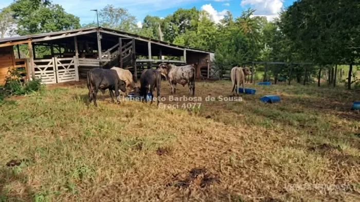 Imóvel para venda com 39900 metros quadrados em Zona Rural - Bonito - MS