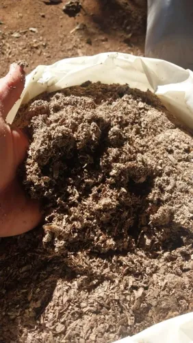 Adubo de galinha, cama de frangas, esterco de galinha curtido