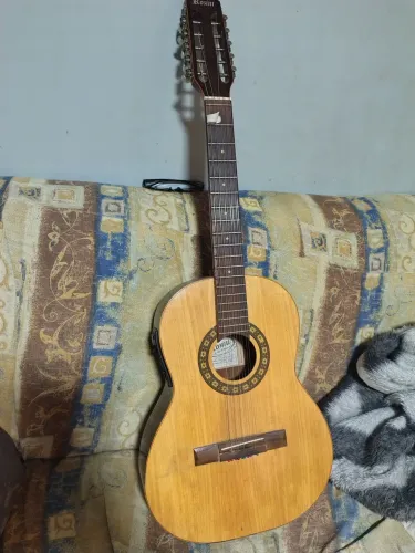 Viola clássica rozini 10 cordas 