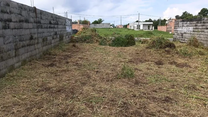 Lote 10X20 transferência