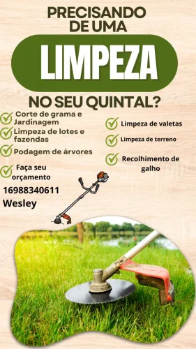Jardinagem Paisagismo ?