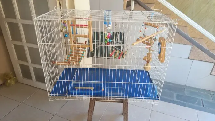 Acessórios para pet