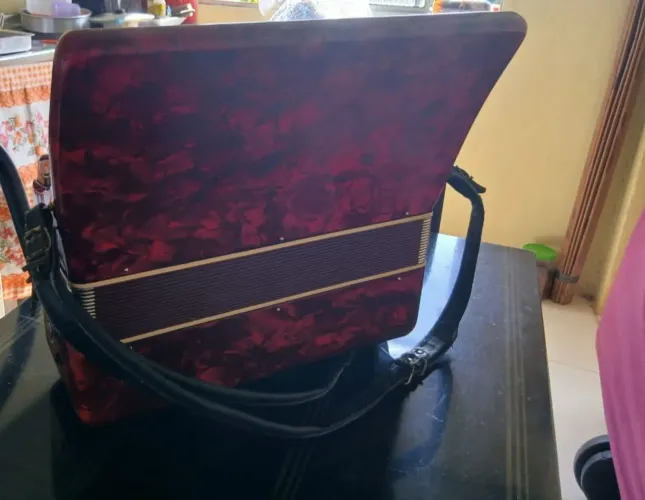 Safona 120 acordeon